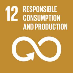 UN Sustainable Development Goal 12: Responsible Consumption and Production